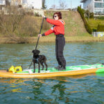 SUP-mit-Hund
